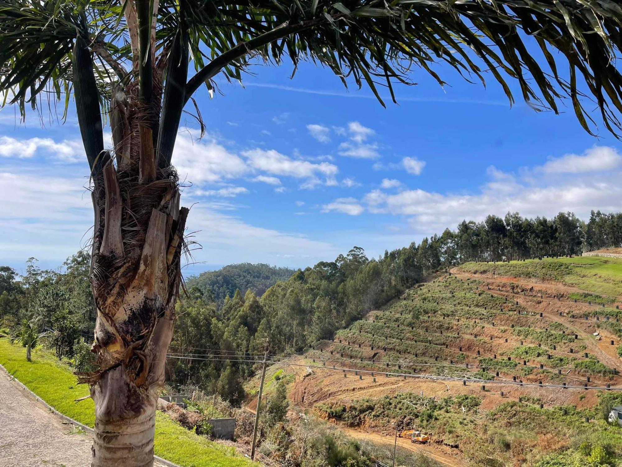 Hollywood Villa Campanário Eksteriør bilde